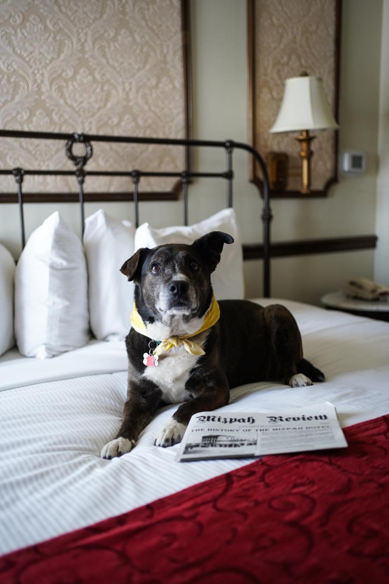 Mizpah Hotel Тонопа Экстерьер фото